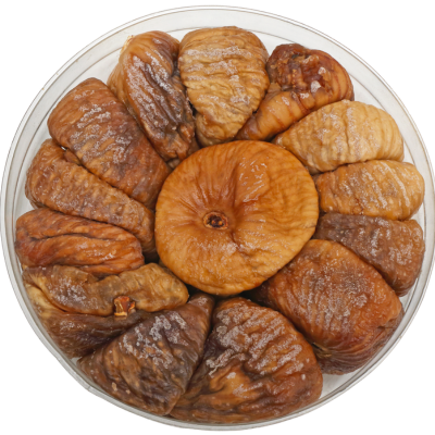 fig fig